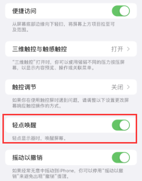 凌源苹果授权维修站分享iPhone轻点无法唤醒怎么办 