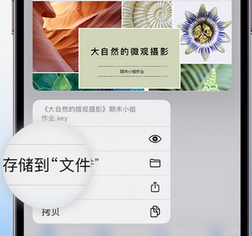 凌源apple维修中心分享iPhone文件应用中存储和找到下载文件