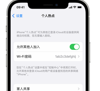 凌源apple服务站点分享iPhone上个人热点丢失了怎么办 