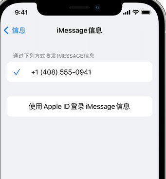 凌源apple维修iPhone上无法正常发送iMessage信息 