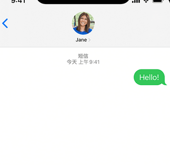 凌源apple维修iPhone上无法正常发送iMessage信息