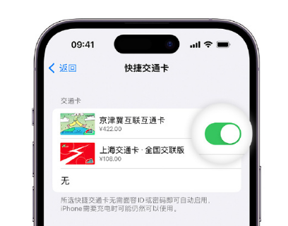 凌源apple维修点分享iPhone上更换Apple Pay快捷交通卡手绘卡面 