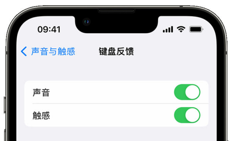 凌源苹果手机维修分享iPhone 14触感键盘使用方法 